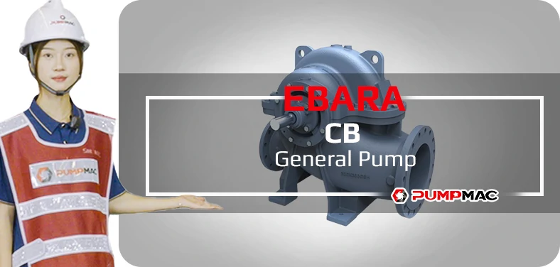 Ebara XBD-FS Fire Pump Video