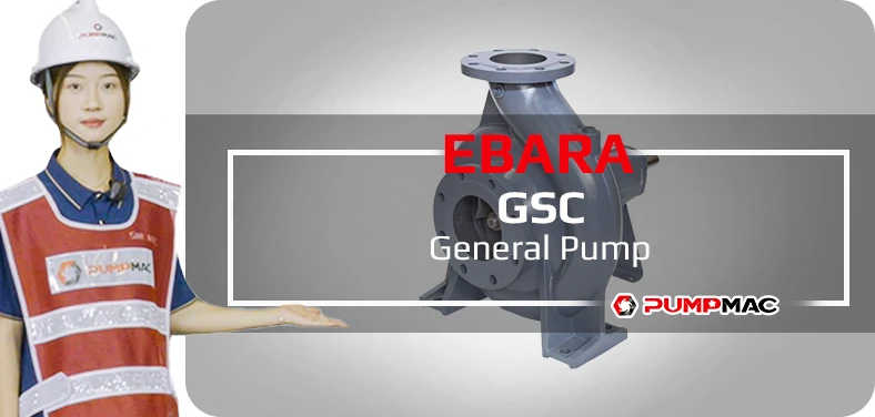 Ebara XBD-FS Fire Pump Video