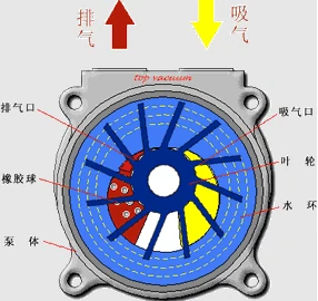 How the Pump Works-18 How the Pump Works-18
