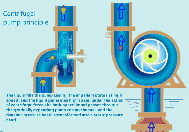 How the Pump Works-500×300-02 How the Pump Works-500×300-02