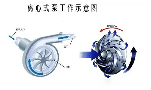 Introduction-to-scientific-knowledge-of-water-pumps-500×300-03 Introduction-to-scientific-knowledge-of-water-pumps-500×300-03