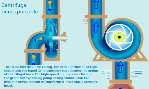 Introduction-to-scientific-knowledge-of-water-pumps-500×300-04 Introduction-to-scientific-knowledge-of-water-pumps-500×300-04