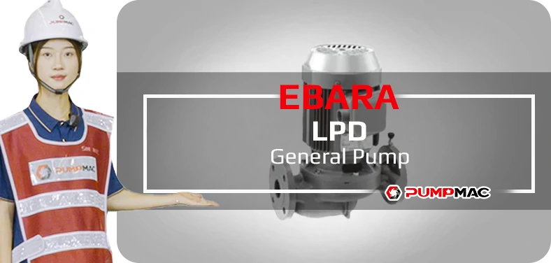 Ebara XBD-FS Fire Pump Video