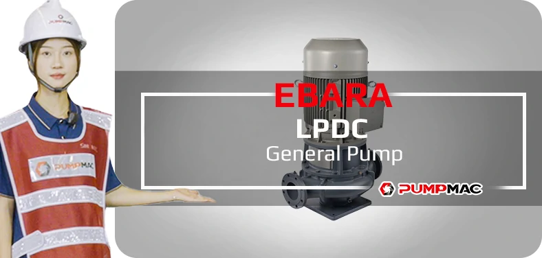 Ebara XBD-FS Fire Pump Video