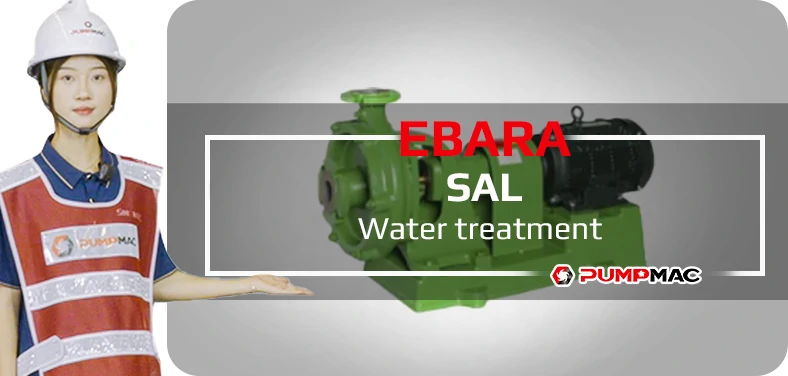 Ebara SAL Water treatment Video