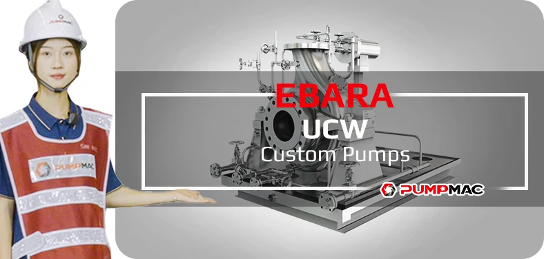 Ebara IFMZ Centrifugal Pump Video