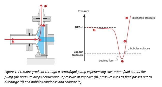 The most comprehensive summary of pump cavitation-3